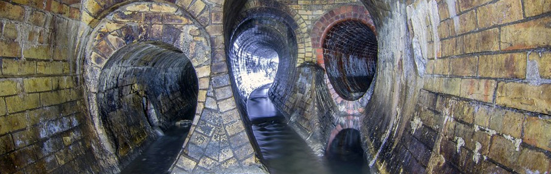 course-category-header-shea-sewers