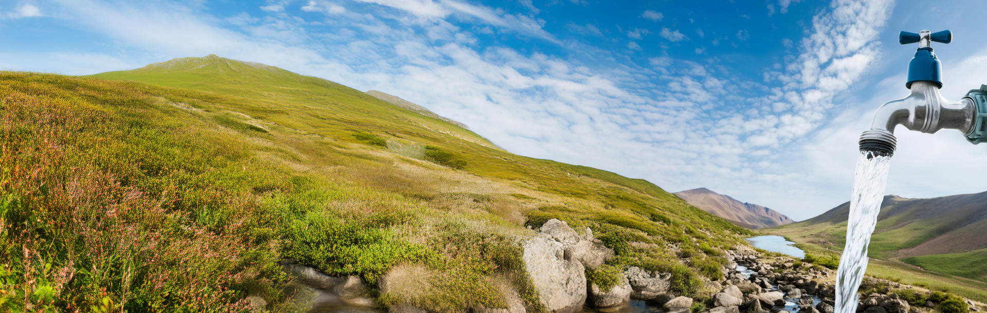 course-gategory-header-1