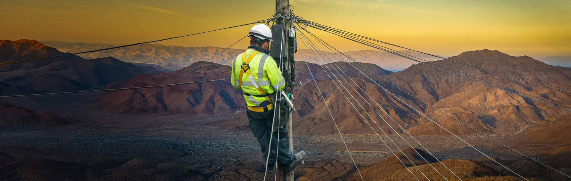 course-category-header-shea-telecoms
